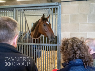 AK021025-95 - Believitanducan